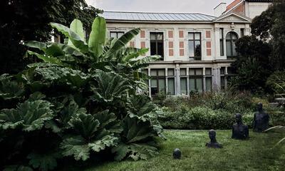 Botanische tuin Antwerpen